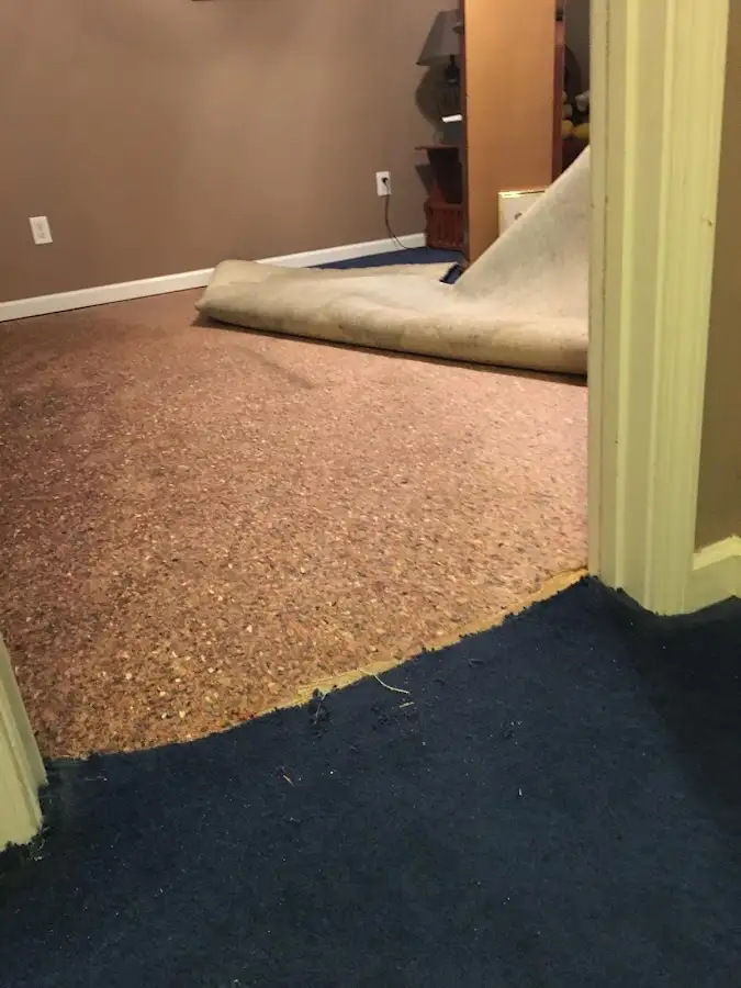 Carpet pad removal revealing water damage during Drying & Dehumidification in O'Hara