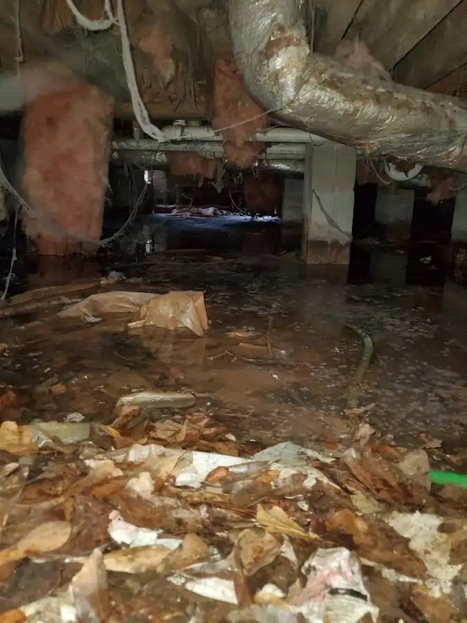 Crawl space flood assessment for Leak Detection & Repair in O'Hara