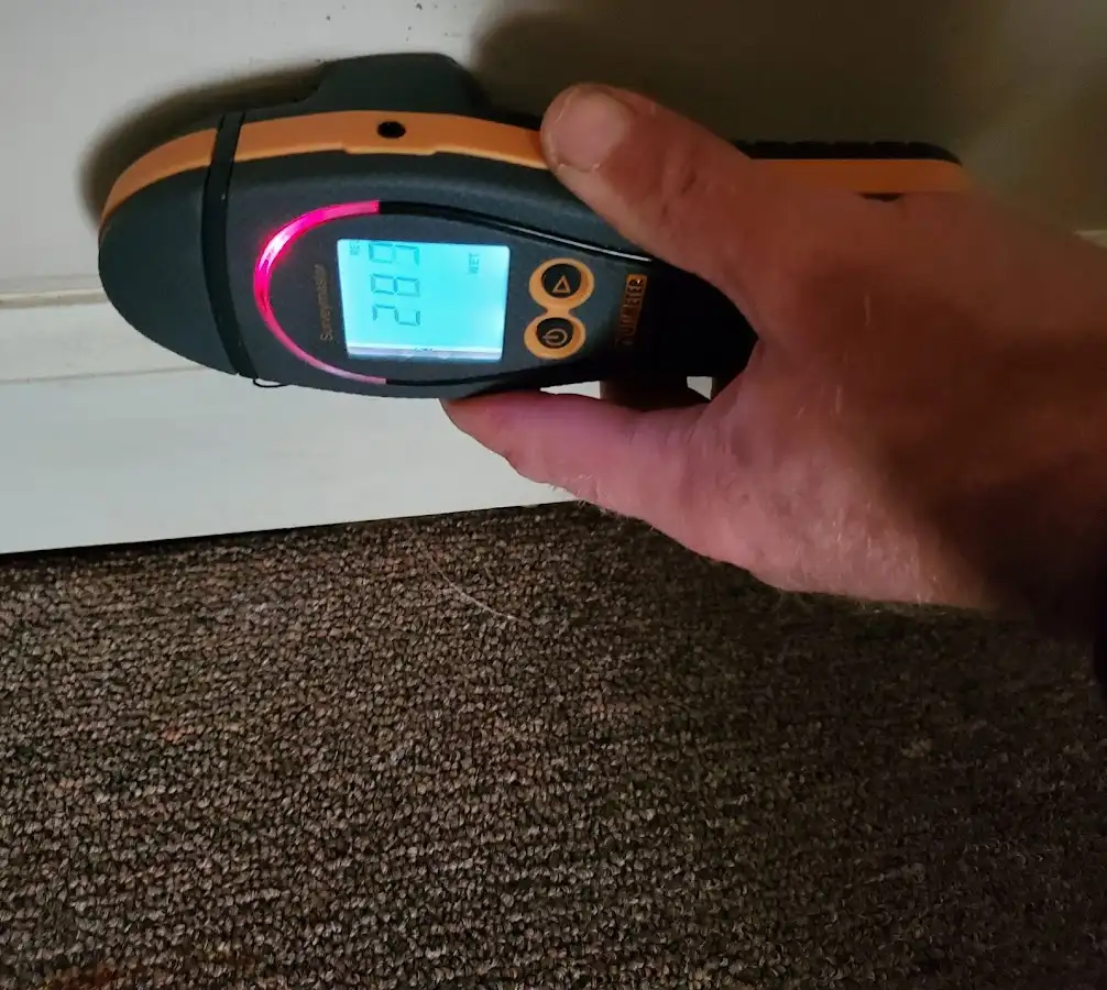 Moisture detection at baseboard during Burst Pipe Cleanup in O'Hara